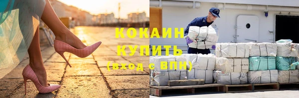 СК Алексин