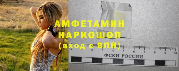 СК Алексин