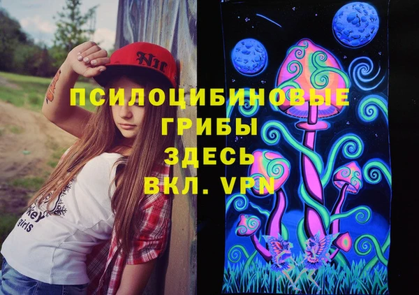 спайс Алзамай