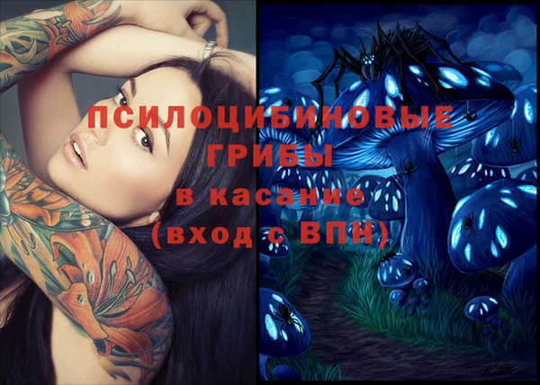 спайс Алзамай