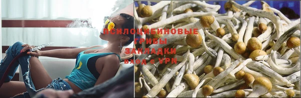 мескалин Алексеевка