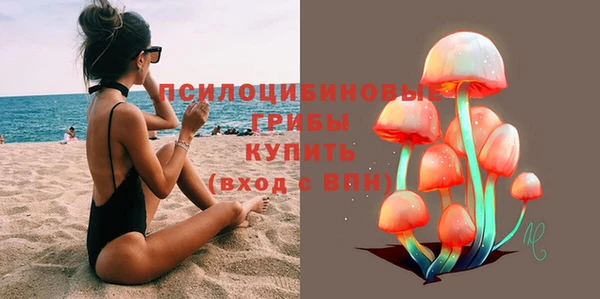 спайс Алзамай