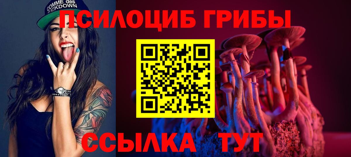 купить  сайты  Вход с VPN  Муравленко  Псилоцибиновые грибы GOLDEN TEACHER 